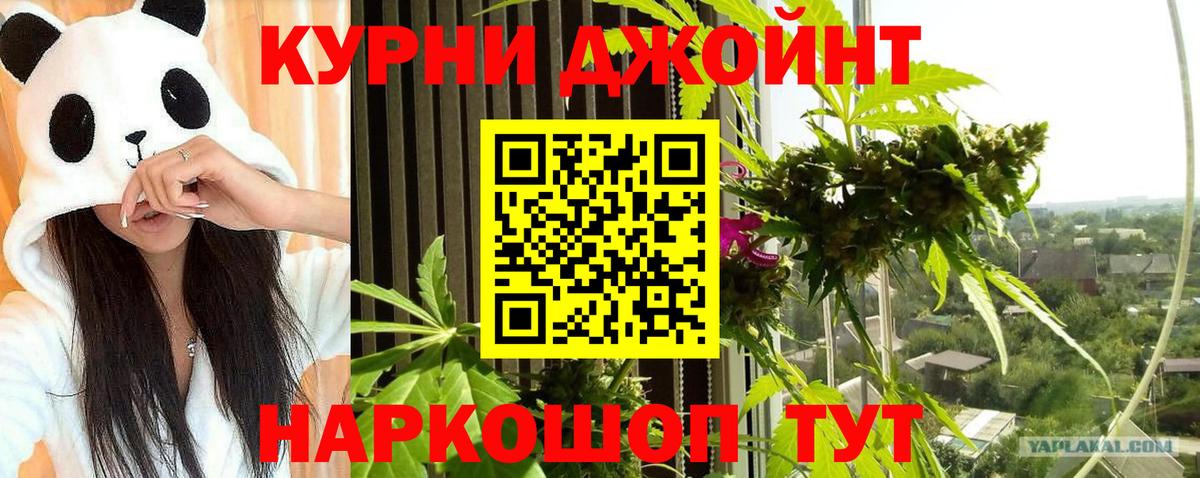 Урус-Мартан  Бошки марихуана Amnesia  Канабис Amnesia  Вход с VPN 