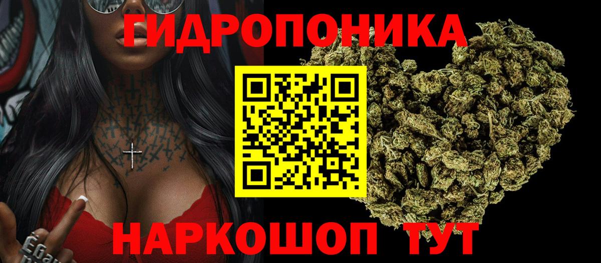 Бошки Шишки MAZAR Урус-Мартан